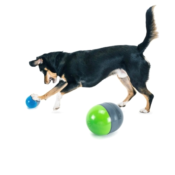 Electronic dog ball; Medium Size - Picture 1 of 8